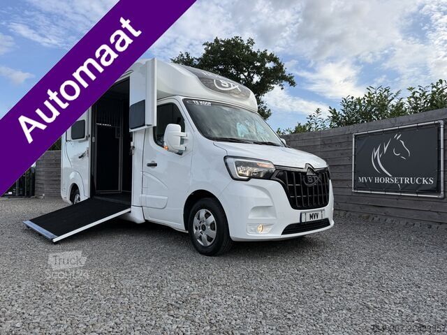 Pferdetransport Renault Master | HORSETRUCK | STX | STALLION 3XL | 2021...