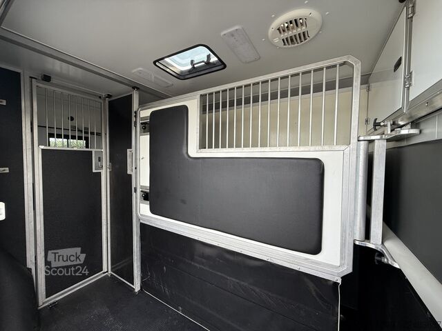 Pferdetransport Renault Master | HORSETRUCK | STX | STALLION 3XL | 2021...