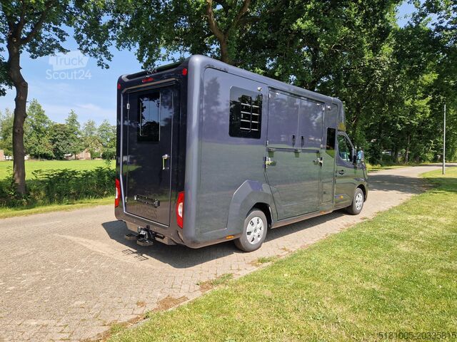 Paarden transport Renault Master Actie! Nieuw model 2025 STX paardenwagen...