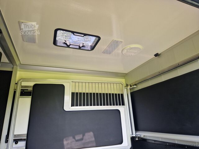 Paarden transport Renault Master Actie! Nieuw model 2025 STX paardenwagen...
