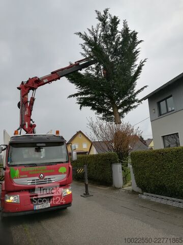Hakowiec z żurawiem załadunkowym Atlas Renault Premium Lander 410.26