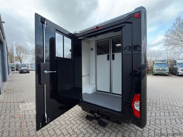 Viehtransporter RENAULT Master STX  170 PS  Haras NEW MODELL 2025