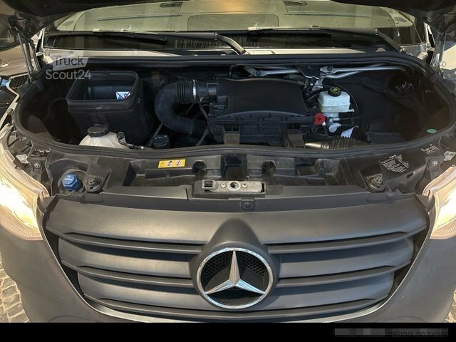 Панелен ван MERCEDES-BENZ Sprinter 319 CDI V6+STANDHZ+AHK++SCHWINGSITZ