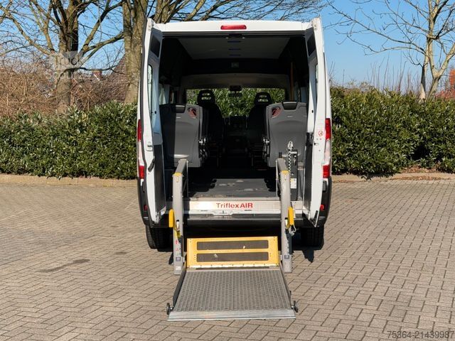 Minibus FIAT Ducato 3.0 CNG/Erdgas 9 Sitze Schiebetür Klima