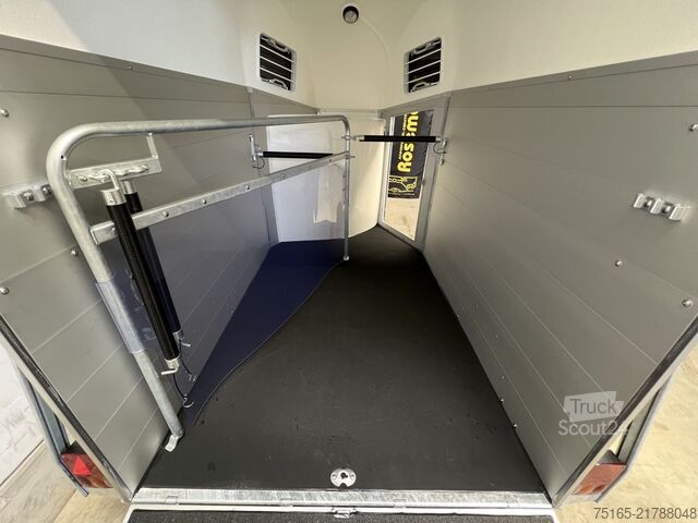 Prikolica za prevoz konj Böckmann Champion Esprit SK Pferdeanhänger