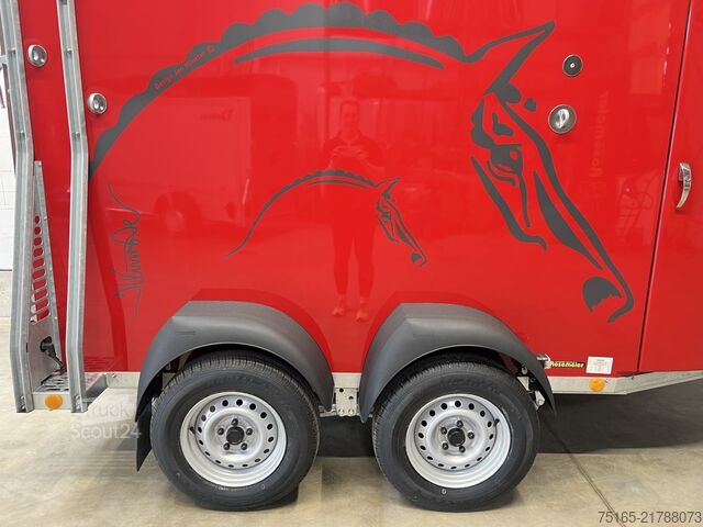 Prikolica za prevoz konj Böckmann Master 21 WCF MPT Sonder Pferdeanhänger