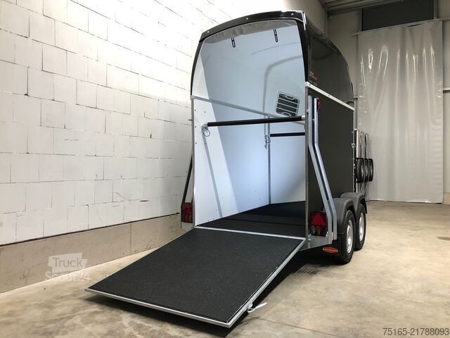 Prikolica za prevoz konj Böckmann Uno Esprit silver black ALB Pferdeanhänger