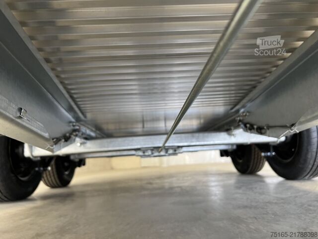 Paardentransportaanhanger Böckmann Champion Uno Esprit silv+bl SK Pferdeanhänger