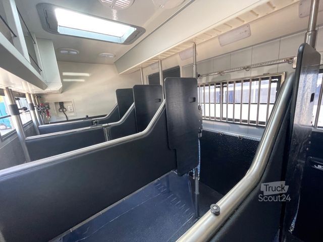 Kreaturvogn MERCEDES-BENZ 2651 STX 5 Pferde DOP. POP-OUT+POP-UP EXKLUSIVE