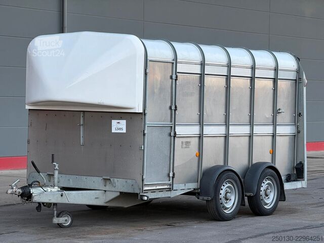 Hästtransportsläp IFOR WILLIAMS SB 2 TA35 PKW Tandem Viehanhänger