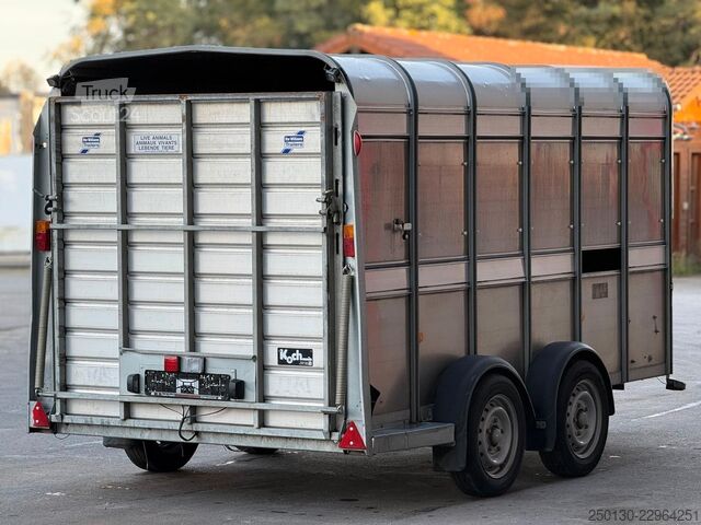 Hästtransportsläp IFOR WILLIAMS SB 2 TA35 PKW Tandem Viehanhänger