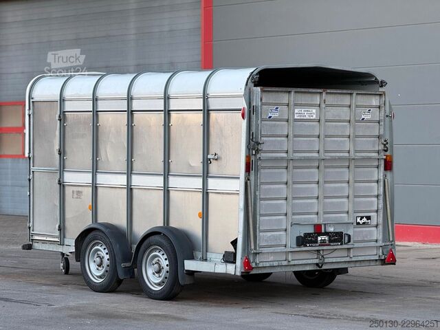 Hästtransportsläp IFOR WILLIAMS SB 2 TA35 PKW Tandem Viehanhänger