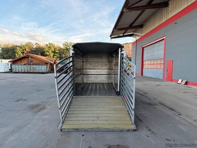 Hästtransportsläp IFOR WILLIAMS SB 2 TA35 PKW Tandem Viehanhänger