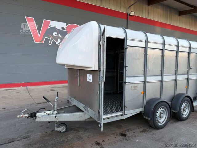 Hästtransportsläp IFOR WILLIAMS SB 2 TA35 PKW Tandem Viehanhänger