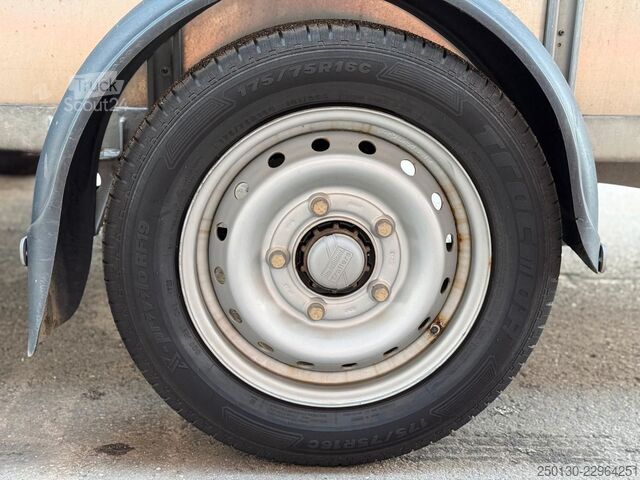 Hästtransportsläp IFOR WILLIAMS SB 2 TA35 PKW Tandem Viehanhänger