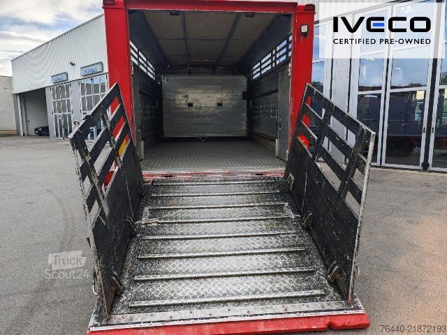 Camion per bestiame IVECO ML150E32/FPEVI_D