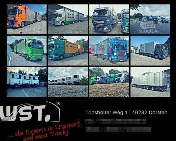 Veetrailer oplegger MENKE-JANZEN 2 Stock Viehauflieger | Spindel