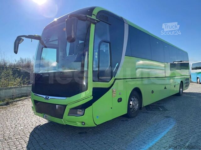 Turismo MAN Lion's Coach