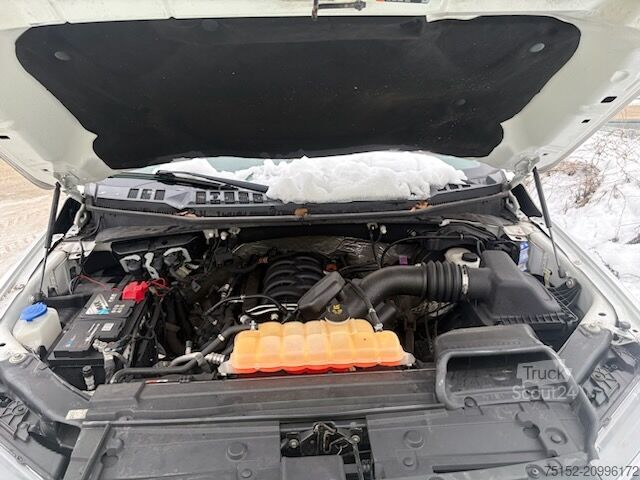 Pick-up Ford F150 XL V8, 5,0l, 405 PS, Longbed