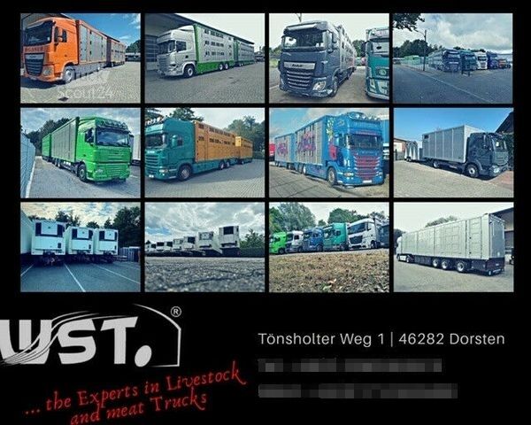 Reefer trailer  Getränke  WST Edition   Kühlanhänger