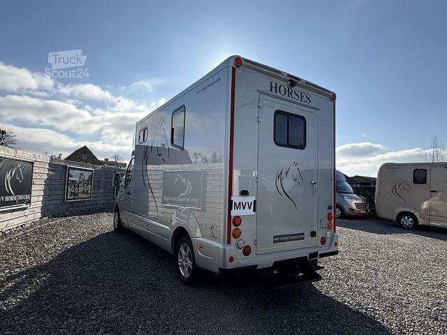 Transport koni Renault Master PAARDENWAGEN | HORSETRUCK | MTM | STALLI...