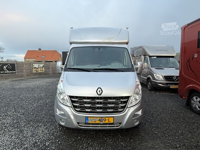 Paarden transport Renault Master PAARDENWAGEN | HORSETRUCK | MVV | CLASSI...