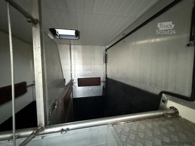 Paarden transport Renault Master PAARDENWAGEN | HORSETRUCK | MVV | CLASSI...