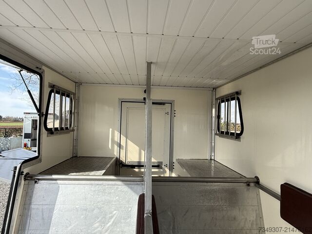 Paarden transport Renault Master PAARDENWAGEN | HORSETRUCK | MVV | CLASSI...