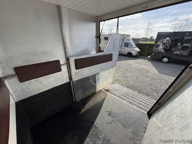 Paarden transport Renault Master PAARDENWAGEN | HORSETRUCK | MVV | CLASSI...