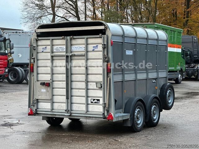 Hestetransporttrailer IFOR WILLIAMS TA35 PKW Tandem Viehanhänger