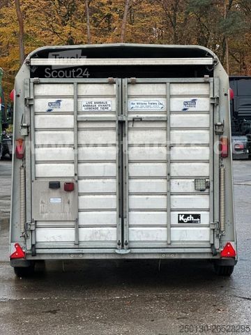 Hestetransporttrailer IFOR WILLIAMS TA35 PKW Tandem Viehanhänger