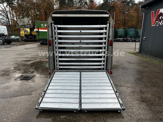 Hestetransporttrailer IFOR WILLIAMS TA35 PKW Tandem Viehanhänger