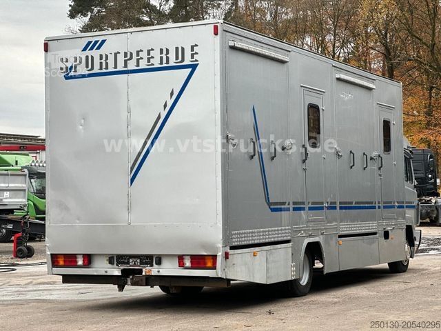 Samochód do przewozu bydła MERCEDES-BENZ 817 4x2 4Pferdetransporter