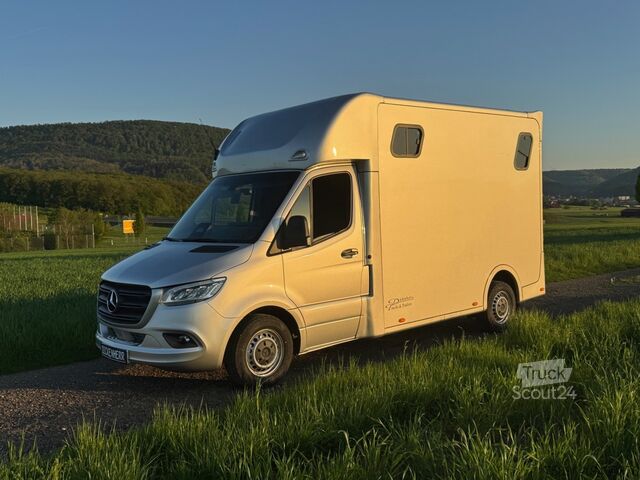 Μεταφορέας αλόγων Mercedes Sprinter Dickenherr 2-Ride