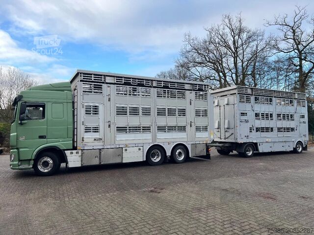 Cattle transport DAF XF 480 Pezzaioli combi Livestock 1/2/3 stock Type2
