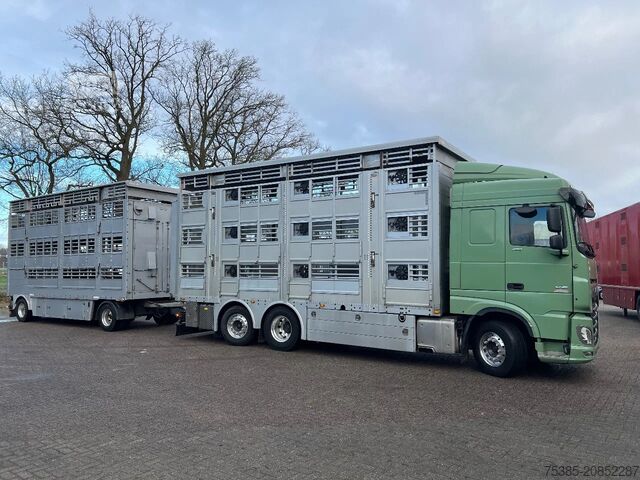 Cattle transport DAF XF 480 Pezzaioli combi Livestock 1/2/3 stock Type2