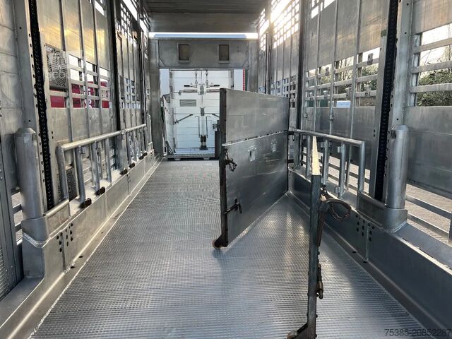 Cattle transport DAF XF 480 Pezzaioli combi Livestock 1/2/3 stock Type2