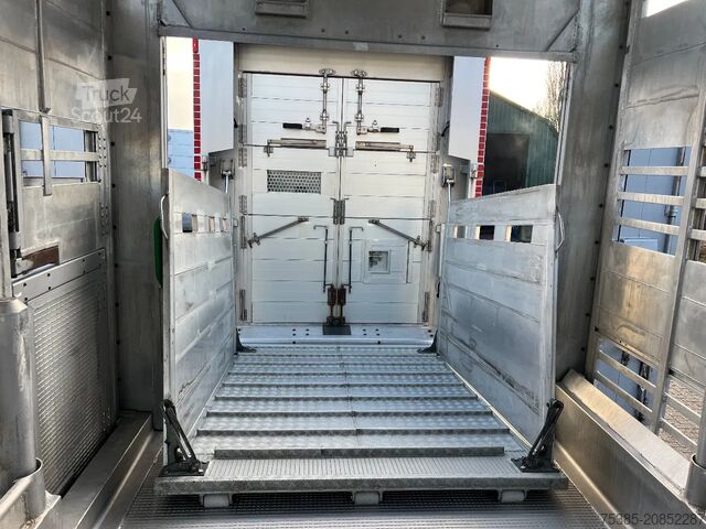 Cattle transport DAF XF 480 Pezzaioli combi Livestock 1/2/3 stock Type2