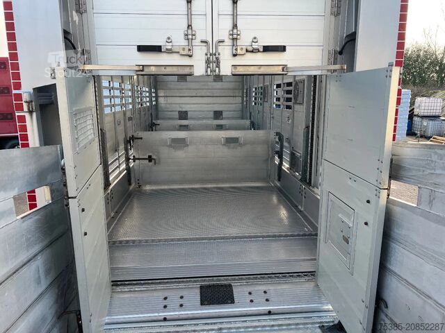 Cattle transport DAF XF 480 Pezzaioli combi Livestock 1/2/3 stock Type2