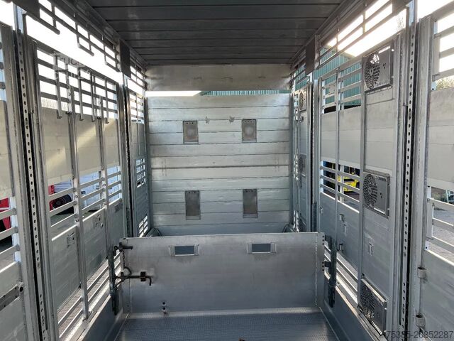 Cattle transport DAF XF 480 Pezzaioli combi Livestock 1/2/3 stock Type2