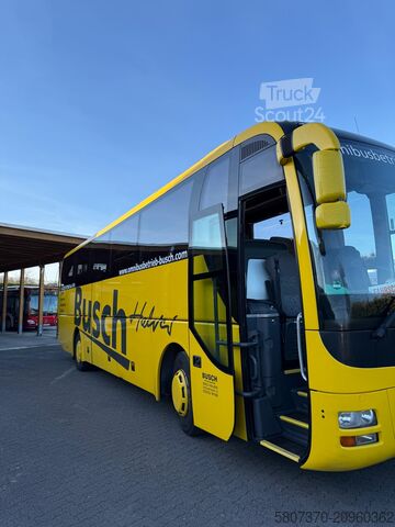 Touringcar MAN R07 Lions Coach