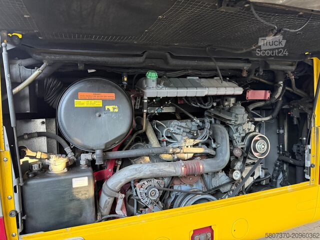 Touringcar MAN R07 Lions Coach