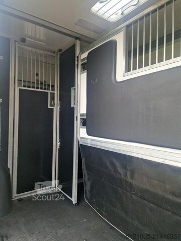 Pferdetransport Opel Movano Occasion paardenwagen STX S3 Pro-Safety ...