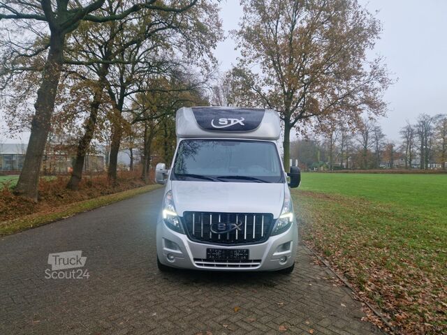Pferdetransport Opel Movano Occasion paardenwagen STX S3 Pro-Safety ...