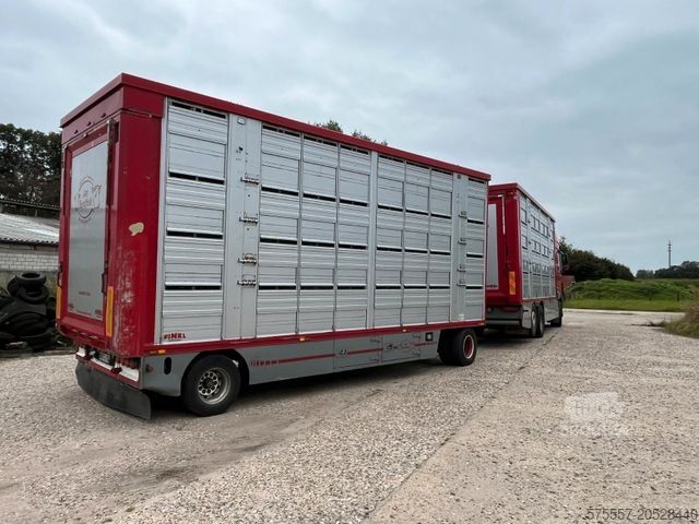 Cattle truck DAF XF 530