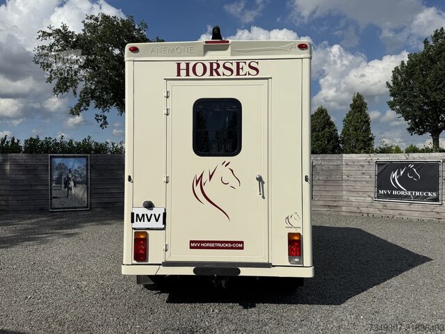 At taşımacılığı Renault Master | HORSETRUCK | MTM | PRO SAFETY 3XL | 20...