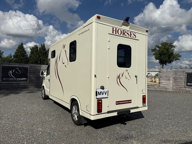 At taşımacılığı Renault Master | HORSETRUCK | MTM | PRO SAFETY 3XL | 20...