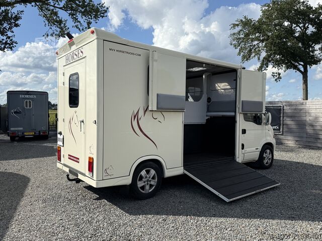 At taşımacılığı Renault Master | HORSETRUCK | MTM | PRO SAFETY 3XL | 20...