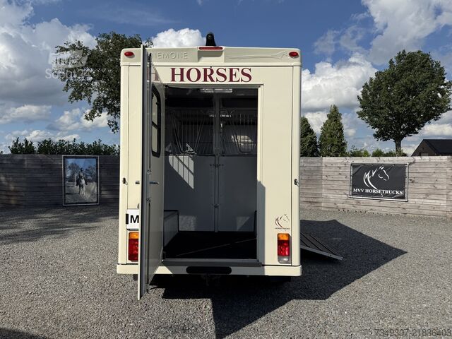 At taşımacılığı Renault Master | HORSETRUCK | MTM | PRO SAFETY 3XL | 20...