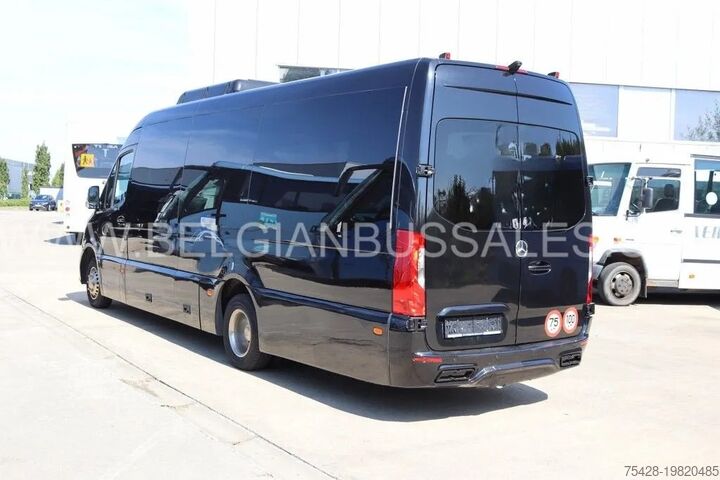 Minibus Mercedes Sprinter